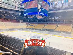-丰业银行球馆(Scotiabank Arena)
