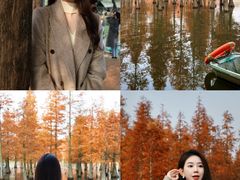 -白鹭湾湿地公园