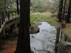 -国家植物园南园