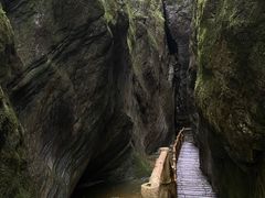 -牛背梁国家森林公园