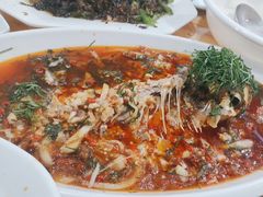 -老字号怡玺·藿香雅鱼(20年雅安店)