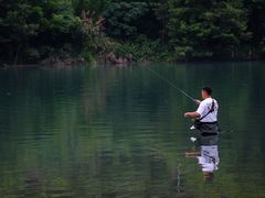 -楠溪江风景名胜区