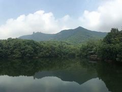 -杭州半山国家森林公园