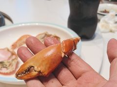 -天鹰观渔(梦园店)