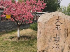 -莲花池公园