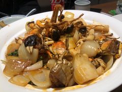 -周家二小姐的菜·扬州菜·香炒蟹·狮子头(江都金鹰店)