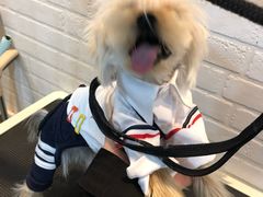 -PETKIT小佩宠物(古北店)