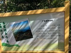 -佛山市三水区大南山森林公园