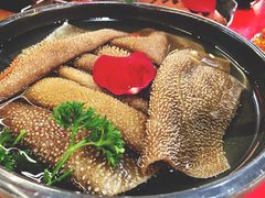 空运脆毛肚-谭鸭血老火锅(七宝万科广场店)