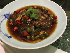 金牌海蜇头-宝燕壹号(徐汇店)