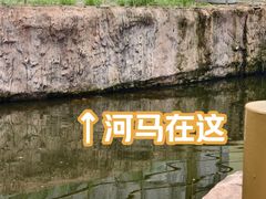 -武汉动物园