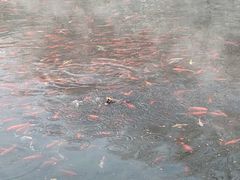 -水磨沟公园
