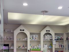 -特一安24小时宠物医院·骨科·中兽医