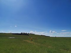 -呼和诺尔旅游景区