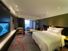 -南京禄口机场雅高铂尔曼大酒店