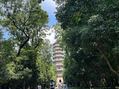 -灵谷景区