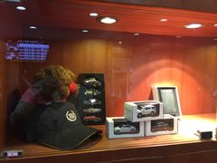 -青岛鸿发智越领克新能源中心