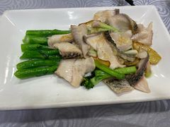 葱姜炒生鱼片-粤·向群饭店(龙津东路总店)