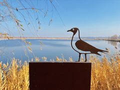 -野鸭湖国家湿地公园