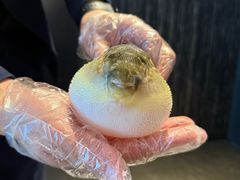 -肆月河豚·新淮扬菜·烤鸭(中关村店)