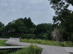 -西溪国家湿地公园
