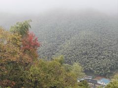 -四明山国家森林公园