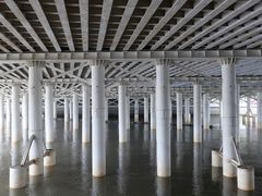 -海心沙亚运公园