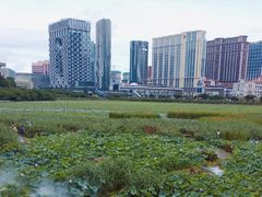 -龙环葡韵住宅式博物馆