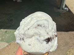 -Dooley's Premium Ice Cream