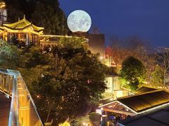 -巴倒烫陆派火锅山庄(南山总店)