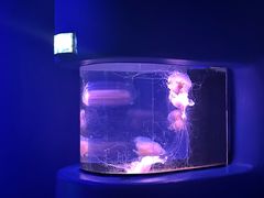 -欢乐海岸海洋奇梦馆