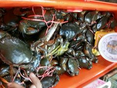android_upload_pic-班赞海鲜市场