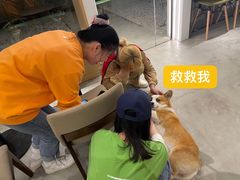 -稀物集咖啡(徽州大道店)