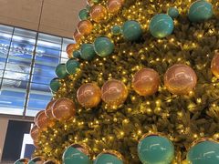 -Tiffany & Co.蒂芙尼
(南京德基广场店)