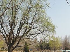 -前关湿地公园