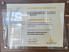 -DECAMERON十日谈(前海嘉里中心店)