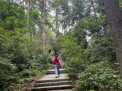 -汤旺河林海奇石景区