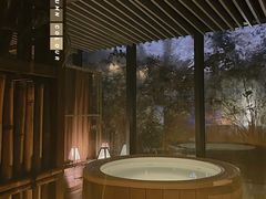 游乐设施-春晖园度假酒店温泉