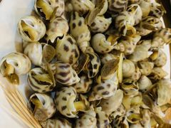 白灼东风花螺-南海渔家•海鲜•正宗海南菜(海棠湾店)