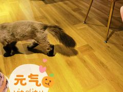 -董小姐咖妃·咖啡·简餐.意面(松江大学城店)