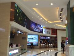 -AMG海上明珠影城(上海环球港RealDCinema店)