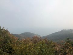 -怪坡茶馆