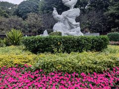 -金鸡山公园