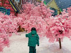 -广州热雪奇迹