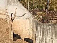 -终南山古楼观历史文化景区