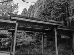 -含鄱口