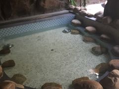 -御池园(顾村公园店)