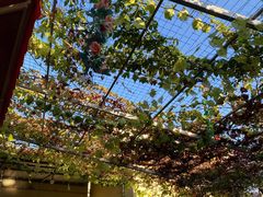 -伊隆斋(什刹海店)