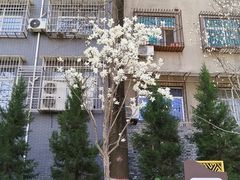 -莲湖公园