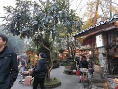 -青城甲(青城山店)